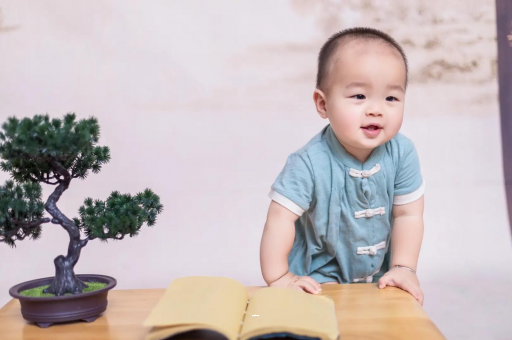 泰安可爱的企鹅宝宝